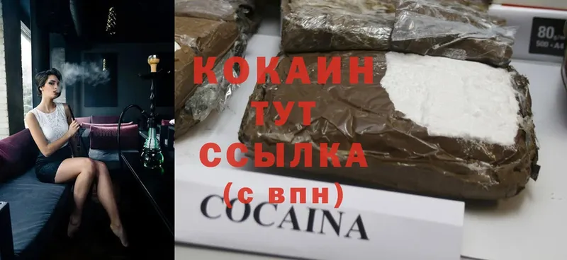 закладки  Кимры  COCAIN Fish Scale 