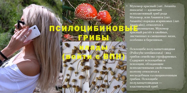 гидра Михайлов