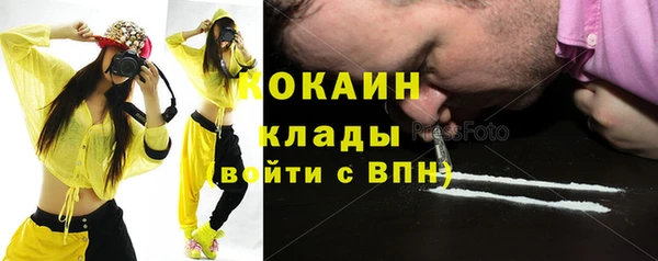 гашик Михайловск