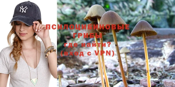 бошки Надым
