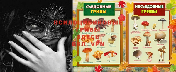 гашик Михайловск