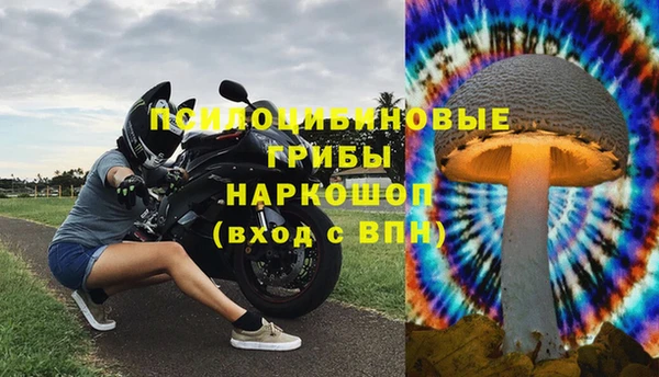 гидра Михайлов