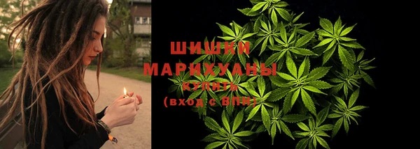 бошки Надым