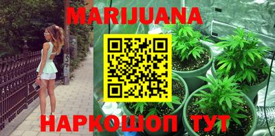 прущие крисы Заводоуковск