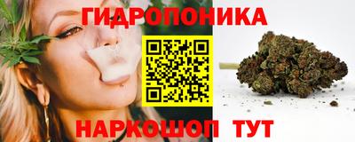 прущие крисы Заводоуковск