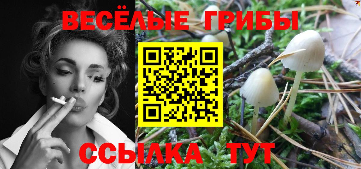 наркотики  Галлюциногенные грибы мицелий  Вход с VPN  Кимры 
