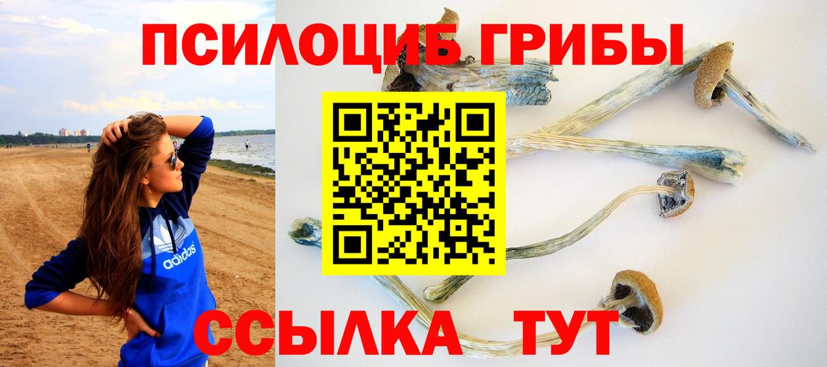 Галлюциногенные грибы мухоморы Кимры